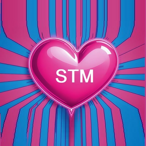 stmlogo2 stmlogo2